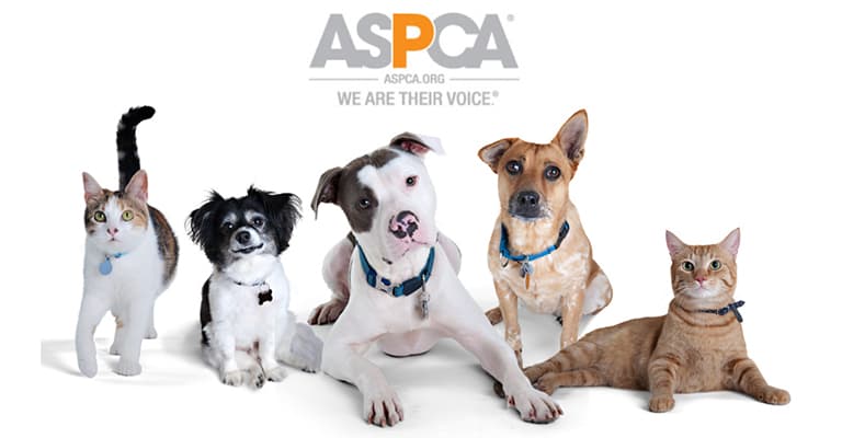 fight for you!contractors